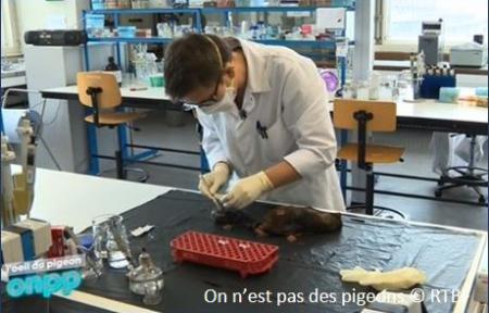 lab analysis