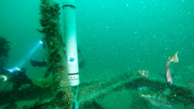 acoustic recorder
