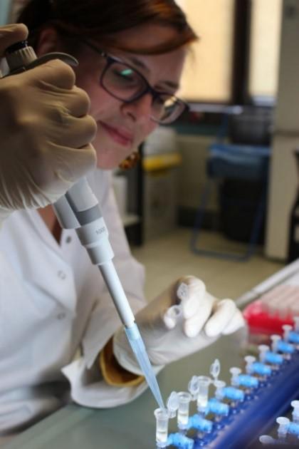 dna extract