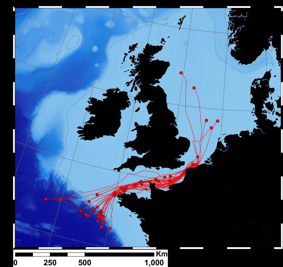 Map migration
